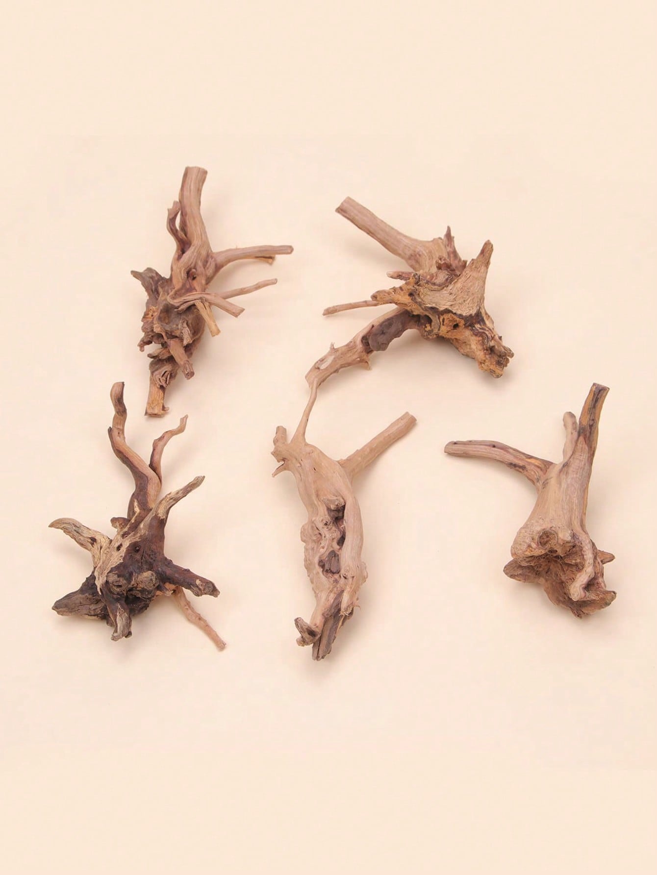 Tree Trunk Micro Landscape Rep - مراجعة Aquarium Fish Guppy وسعره