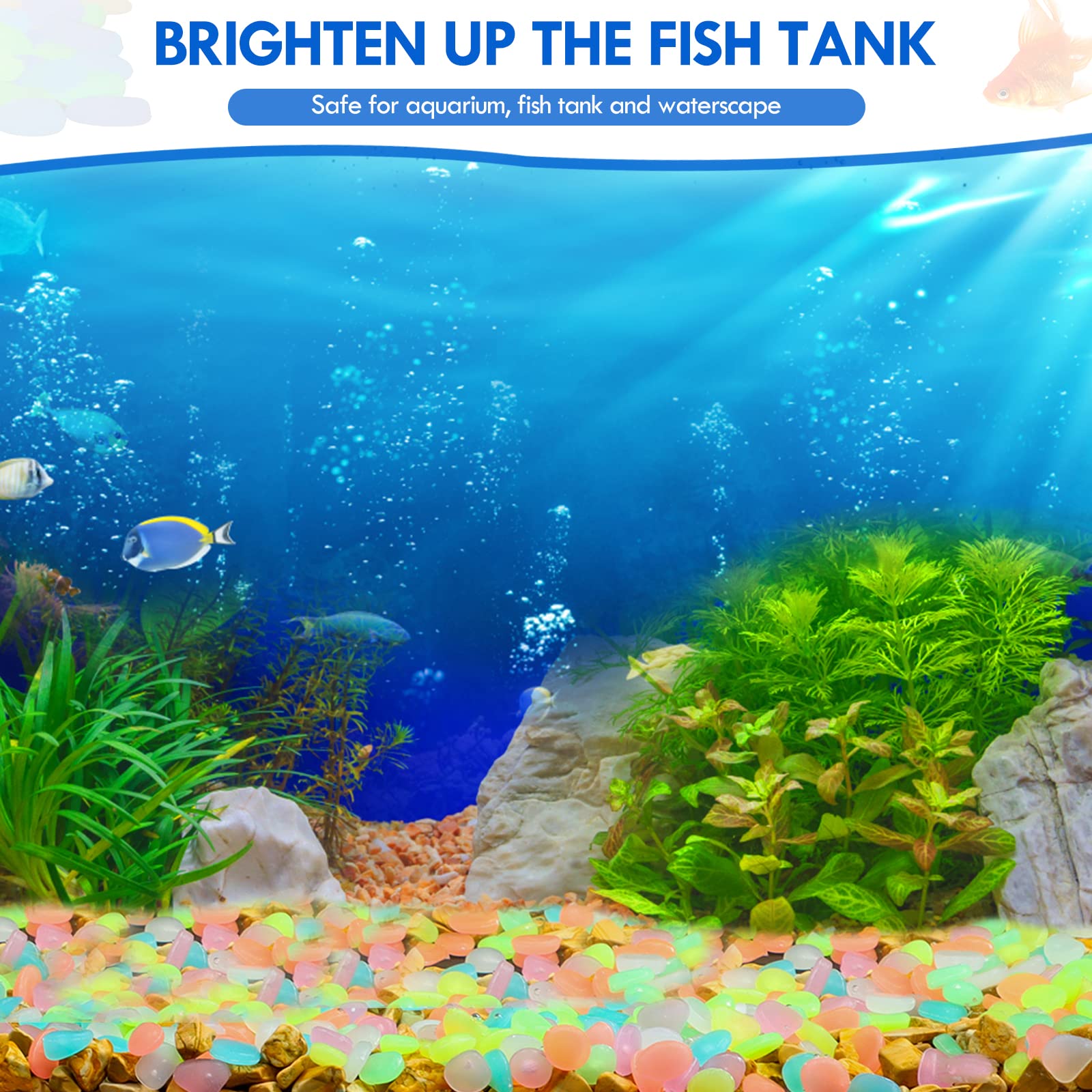 100Pcs Glow in the Dark Garden - مراجعة Aquarium Fish That Glow In The Dark وسعره