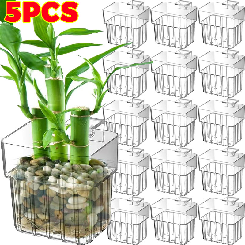 1/5pcs Aquarium Decoration Pla - مراجعة Aquarium Fish Guppy وسعره