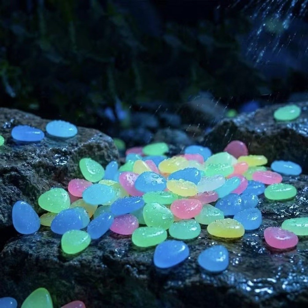 Resin Glow-in-the-Dark Garden  - مراجعة Aquarium Fish That Glow In The Dark وسعره