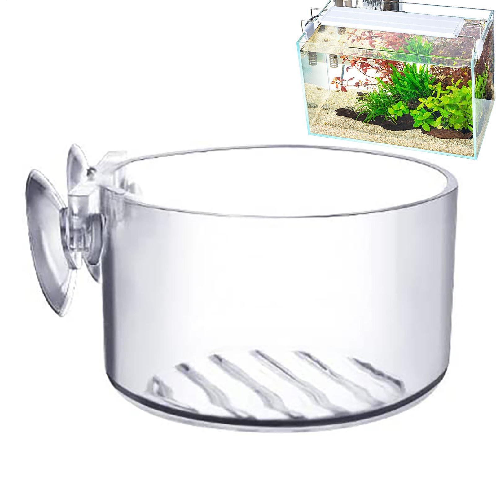 Aquarium Decoration Plant Cup  - مراجعة Aquarium Fish Beautiful وسعره
