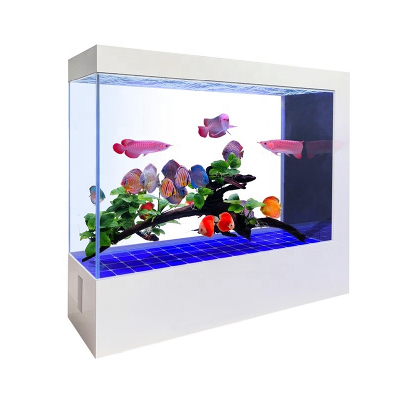 Wholesale Customization Latest - مراجعة Aquarium Fish And Price وسعره