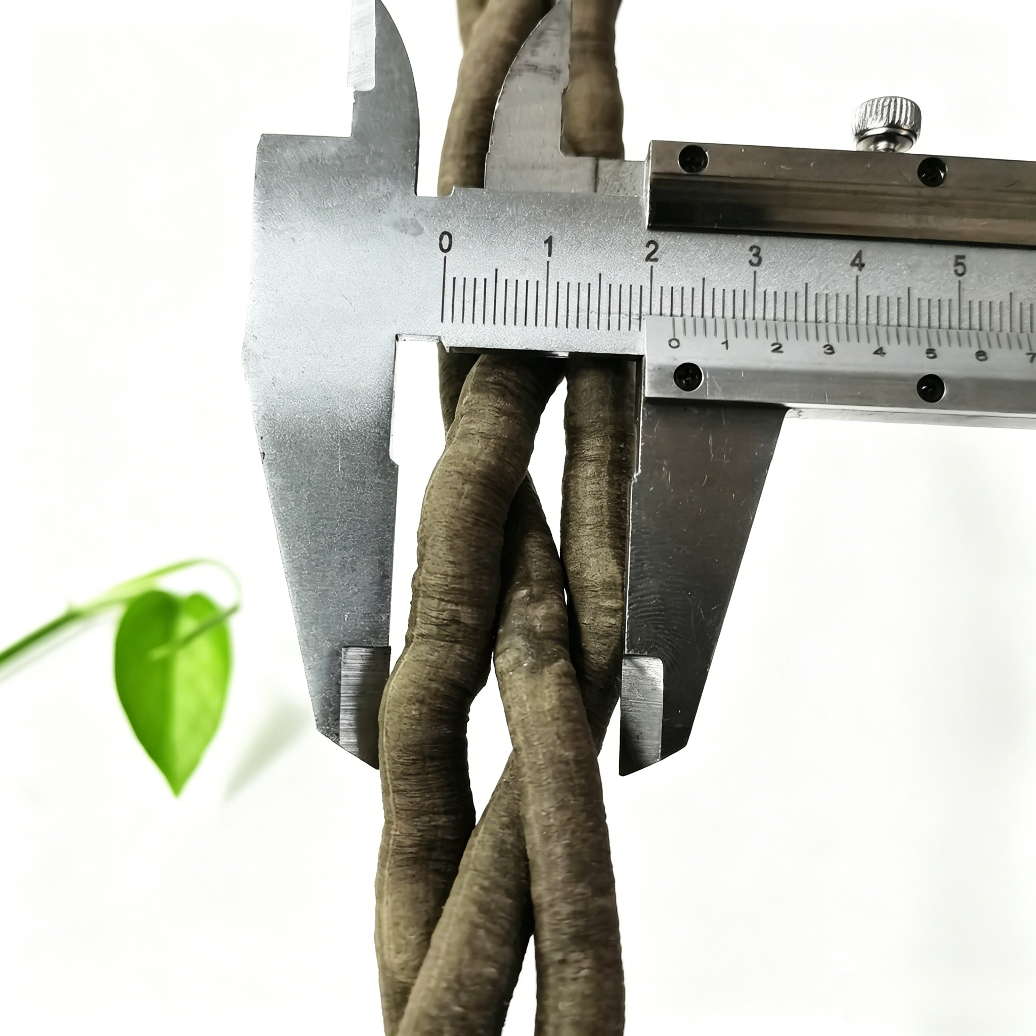 100cm Artificial Vine Plant Cl - مراجعة Aquarium Fish Guppy وسعره