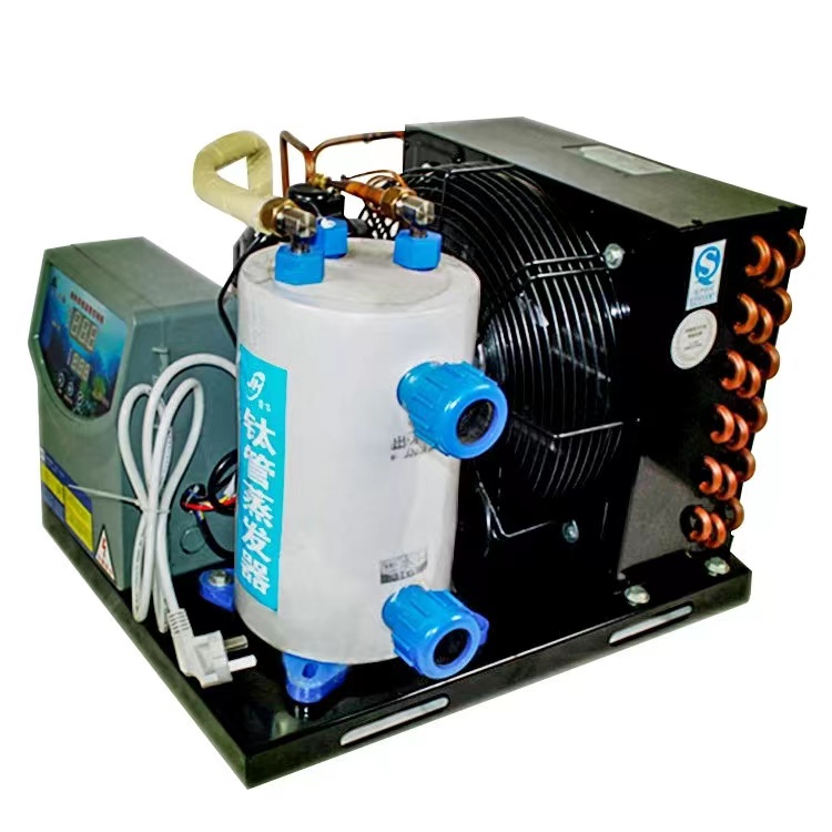 Cheaper Price Heavy Duty Saltw - مراجعة Aquarium Fish And Price وسعره