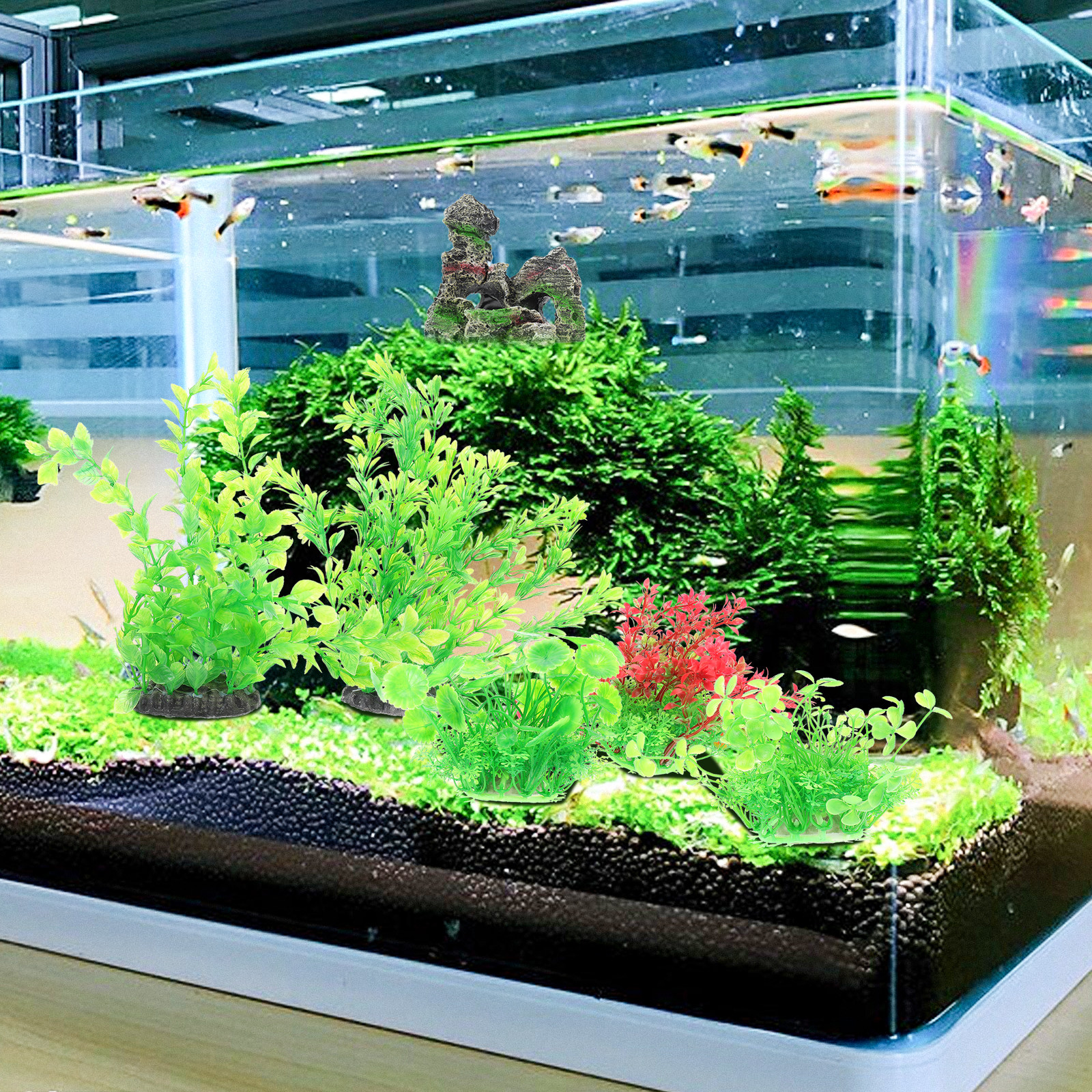 1Set Beautiful Simple Aquarium - مراجعة Aquarium Fish Beautiful وسعره