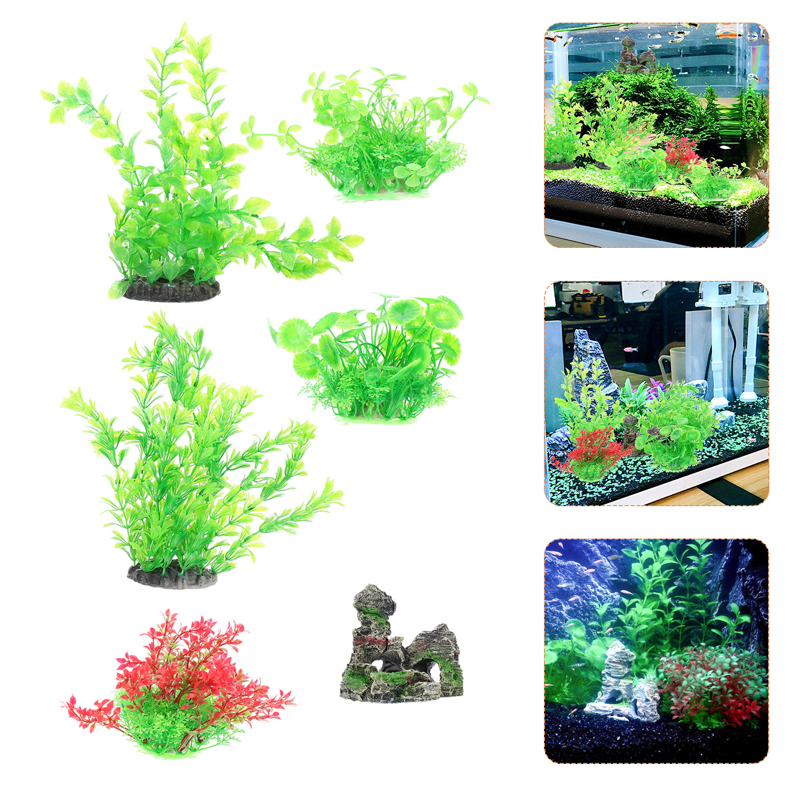 1Set Beautiful Simple Aquarium - مراجعة Aquarium Fish Beautiful وسعره